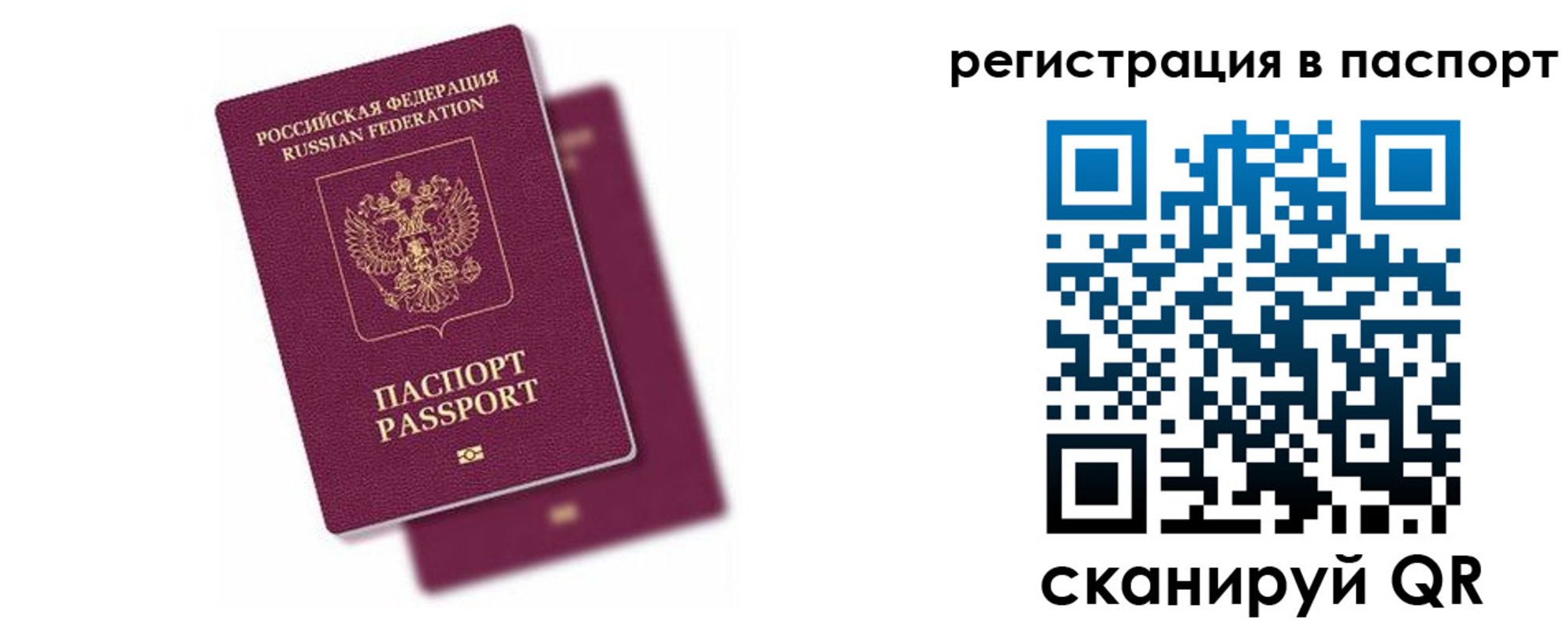 где прописаться в Димитровграде